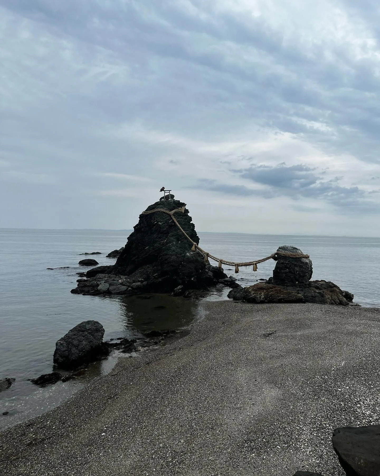 今日は午前のエアコン洗浄終わってから